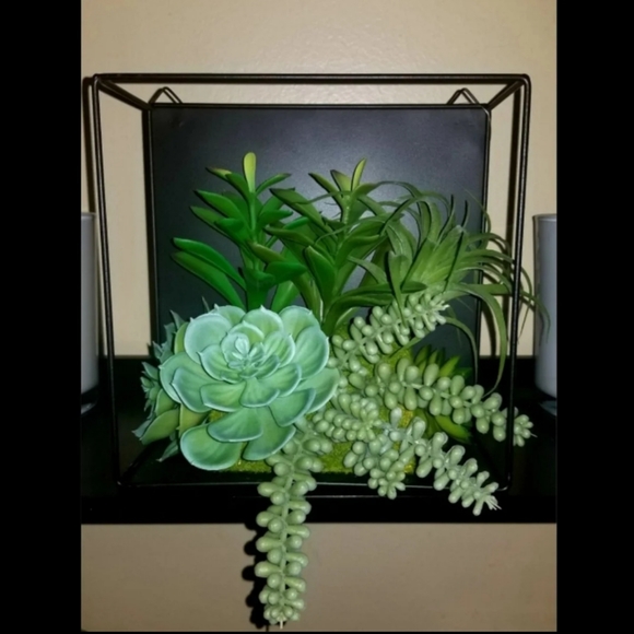 Succulent Floating Cube Shelf Wall Decor - Picture 2 of 8